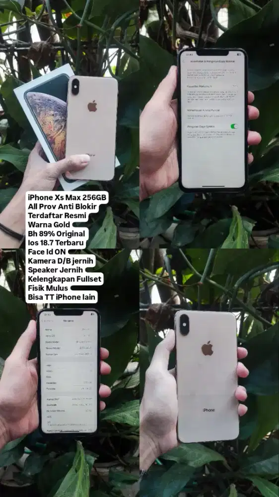 iPhone Xs Max 256GB Beacukai