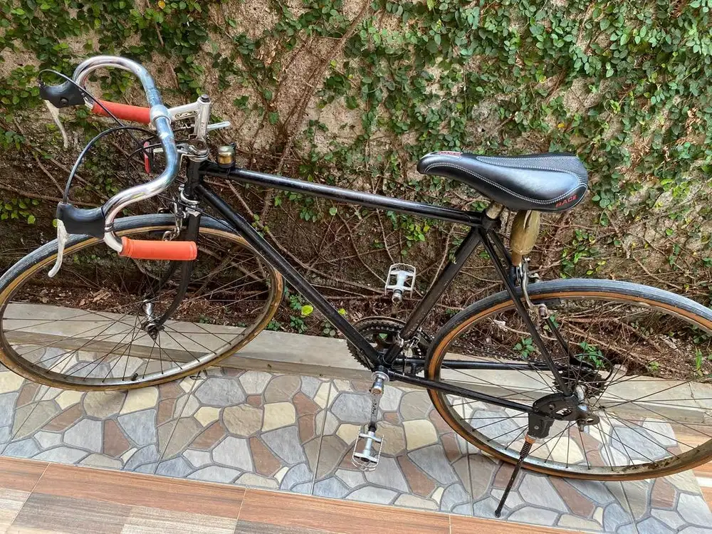 Sanghai sepeda Balap ory