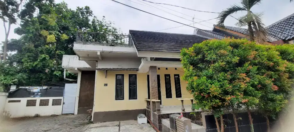 Disewakan Rmh Asri Rp40jt/thn,bisanego,u/hunian,kantor,usaha,pstJogja
