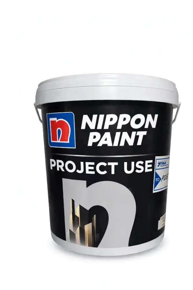 Nippon paint project use