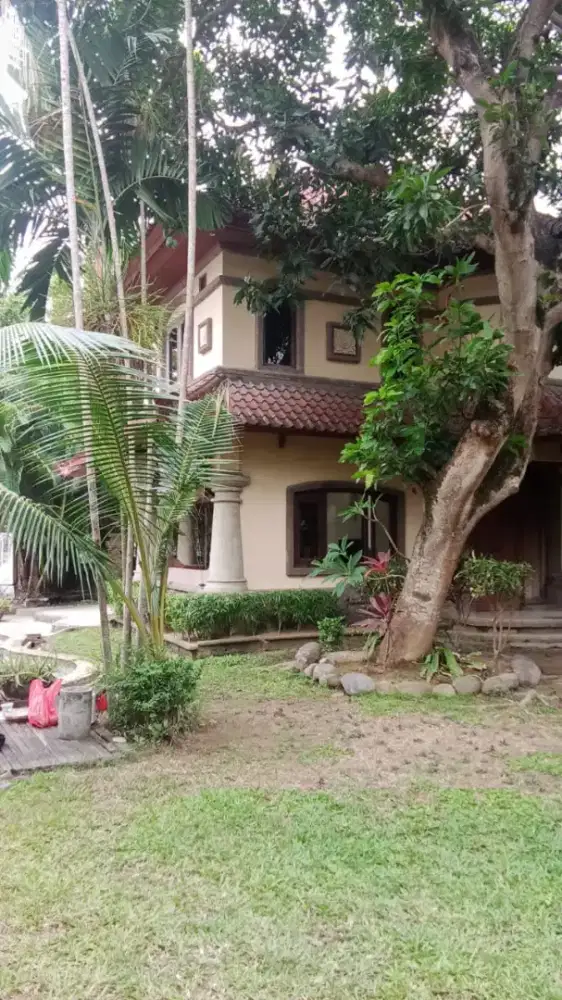 Jual villa lama hitung tanah 650 m2 di Jl Bumbak Umalas Canggu Bali