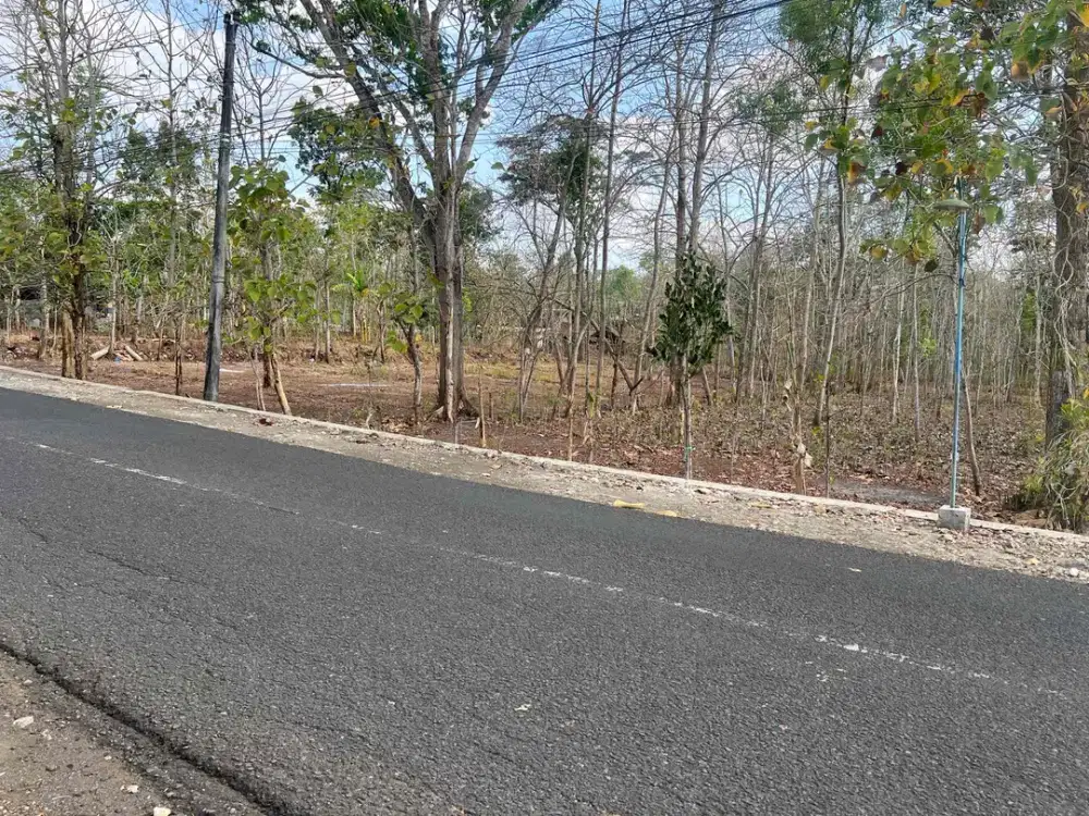 Jual Tanah Murah Pinggir Jalan Raya di Bejiharjo utara Kota Wonosari Gunungkidul Yogyakarta strategis