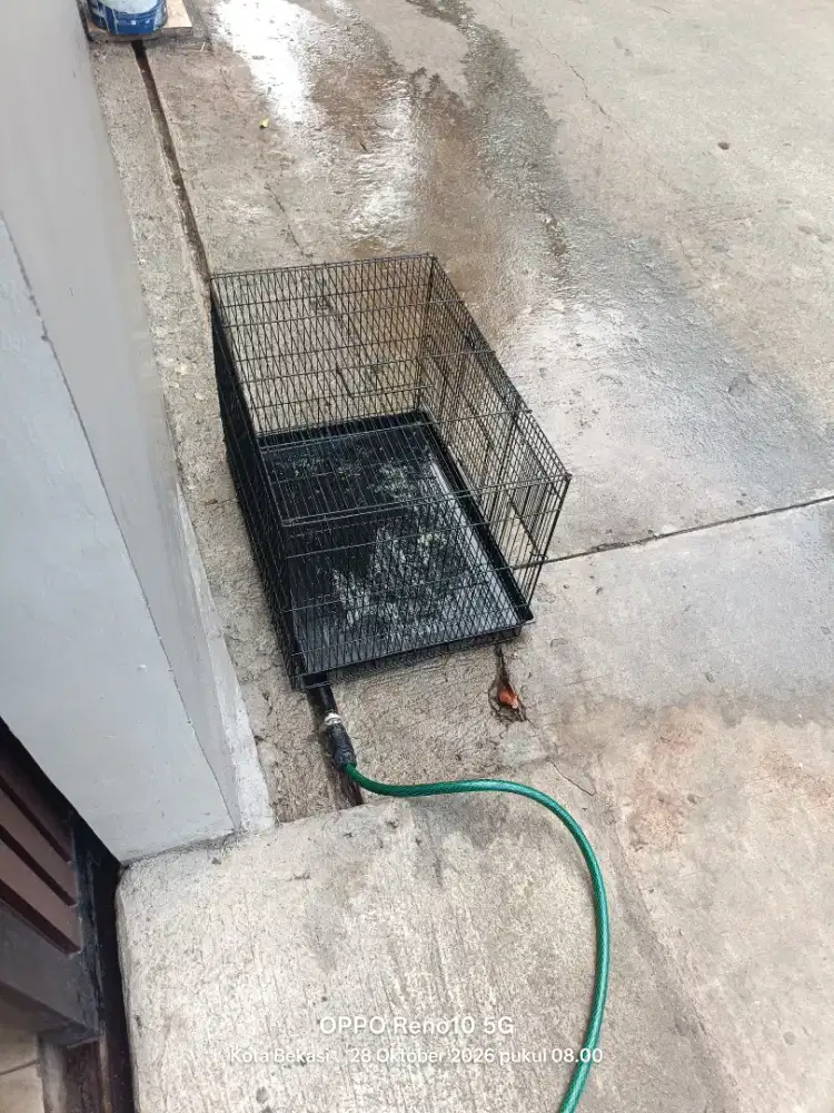 Kandang burung ternak buat kenari/ love bird