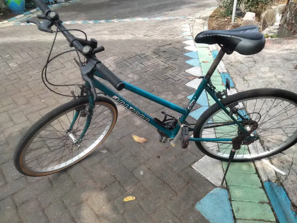 sepeda polygon virginia tahun 90an