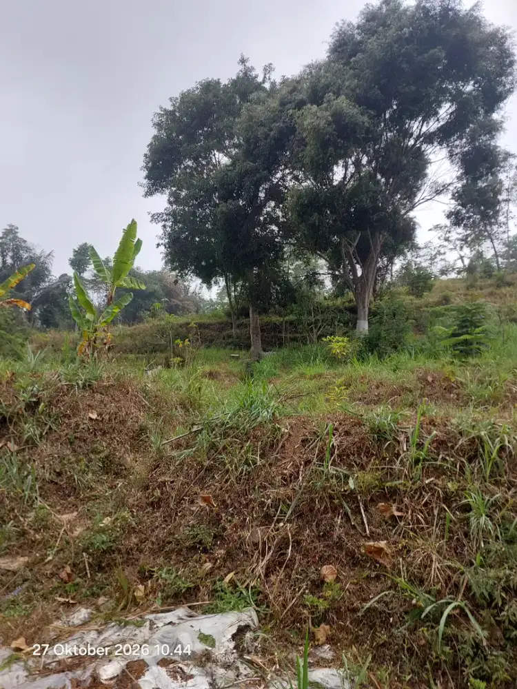 Tanah murah luas 10600m² ada sumber mata air nya