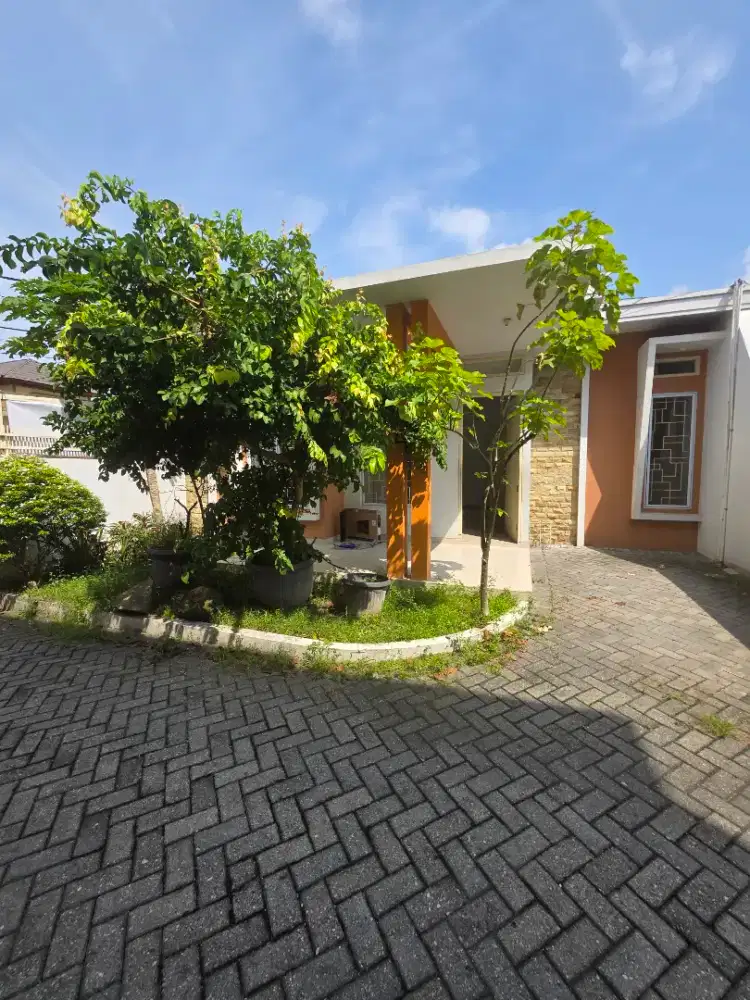 Dikontrakan Rumah Tengah kota Harga 18 jt/ tahun / nett