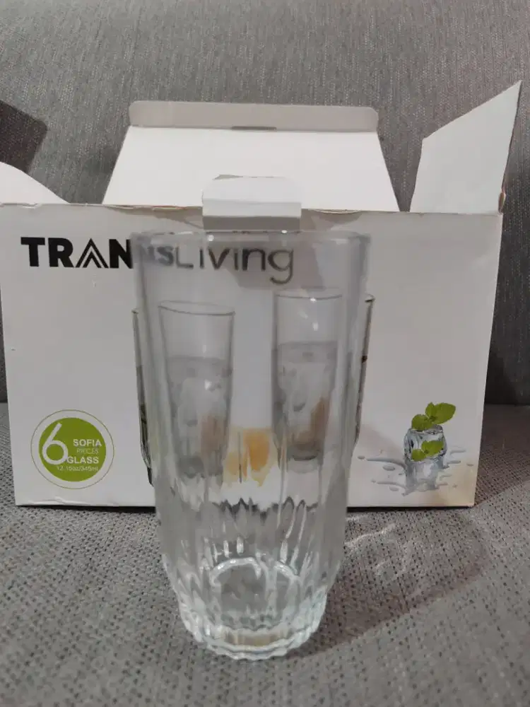 ​[Bongkar Gudang] Set Gelas Kaca TransLiving Sofia 6 Pcs (345ml)