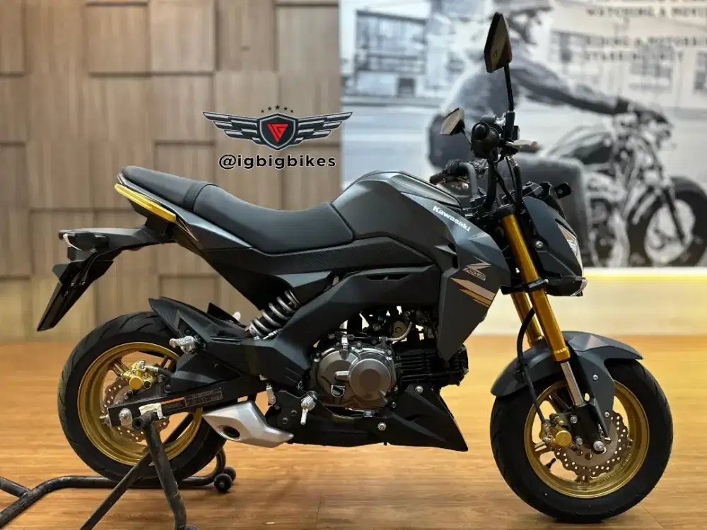 Kawasaki Z125 Pro grey 2024