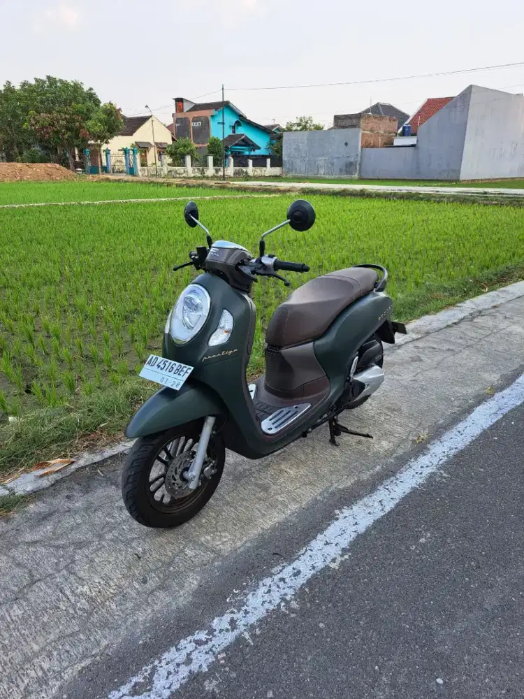 Scoopy keyles 2022