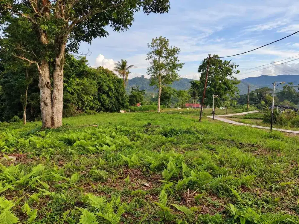 Tanah Luas View Pegunungan di Teluk Ambon Bebas Banjir Lokasi Jalan Utama