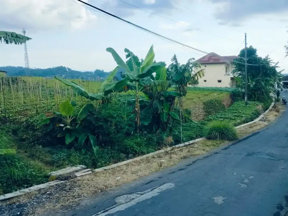 Tanah Pekarangan Tawangmangu, Karanganyar