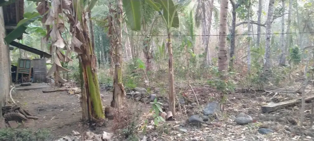 Nyari kerja tukang bangunan