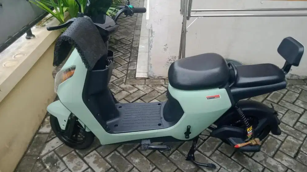Sepeda Listrik type D60
