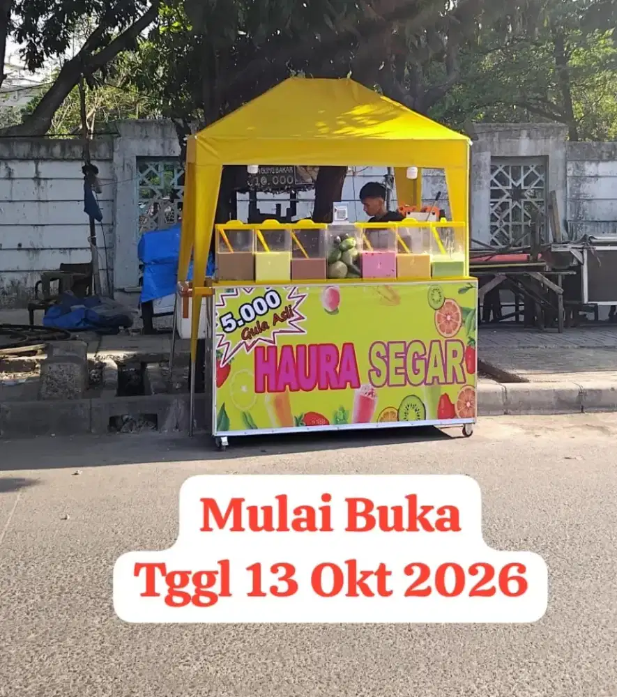 Perlengkapan es viral aquarium