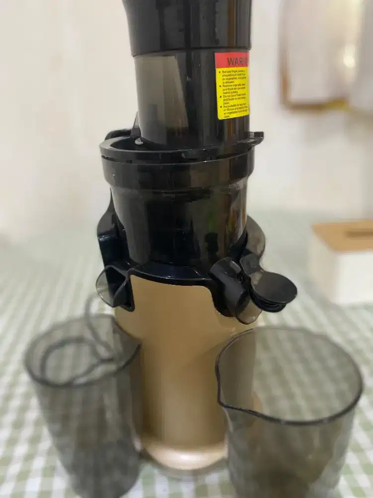 Slow Juicer Ecohome