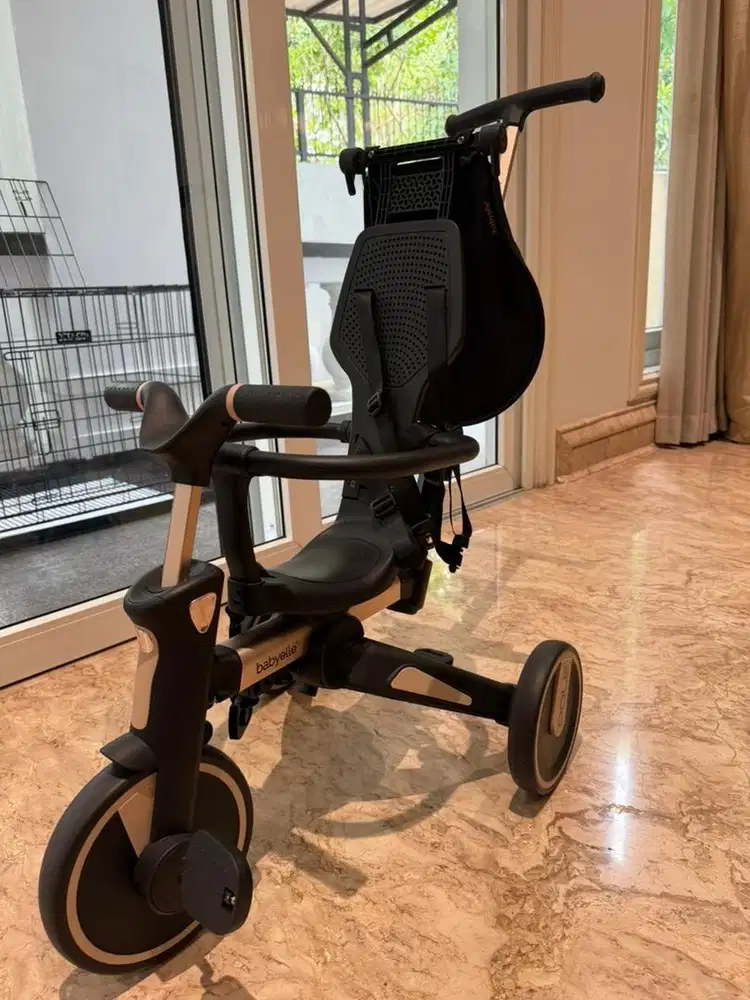 Babyelle Pole 10in1 - Sepeda Anak Roda 3 Balance Bike