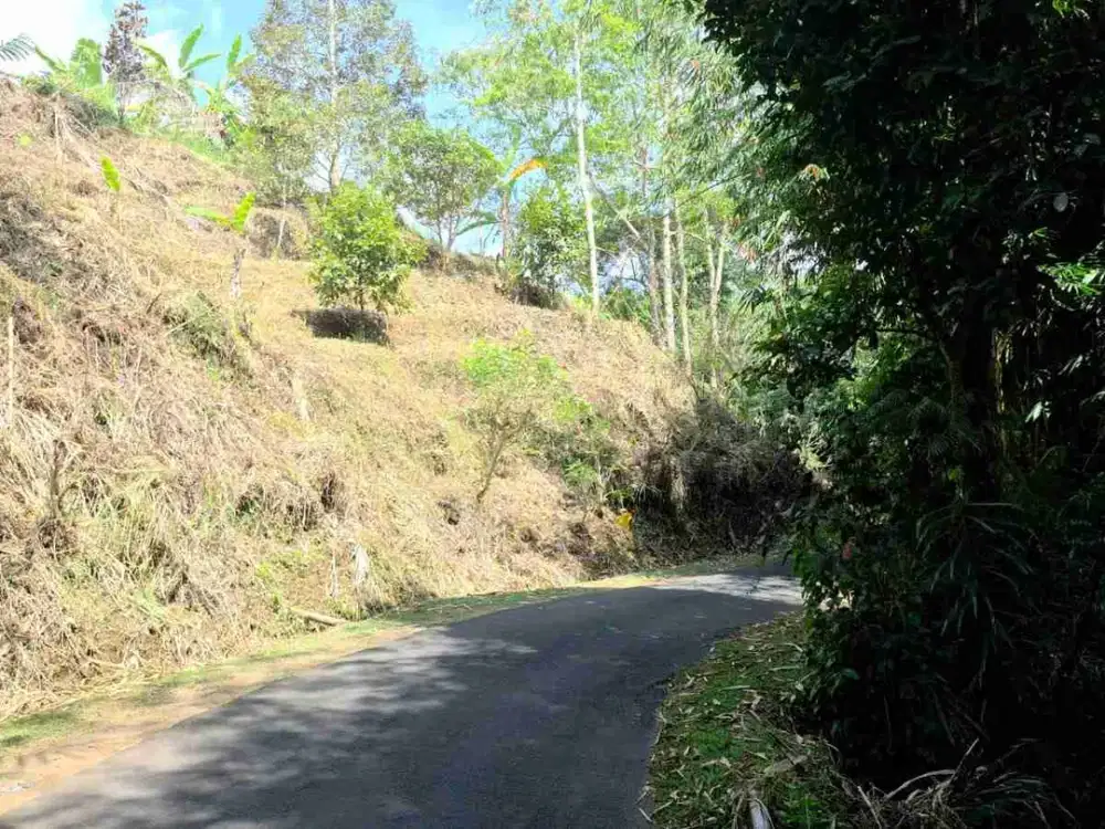 Dijual Properti Menarik Jatiluwih Tabanan Bali