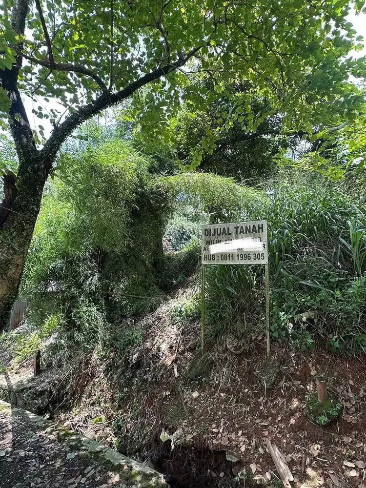 Tanah Luas di Pinggir Jalan Raya Cibinong