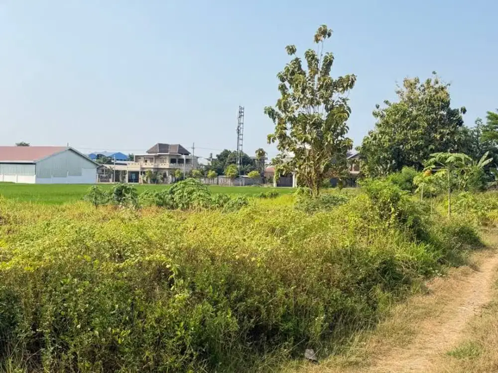 Dijual Tanah Siap Bangun Bisa Untuk Bisnis atau Huni di Krampyang Pasuruan