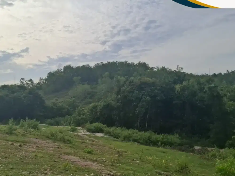 DIJUAL TANAH – GAYANG SARI, KUTUH, KUTA SELATAN, BADUNG, BALI