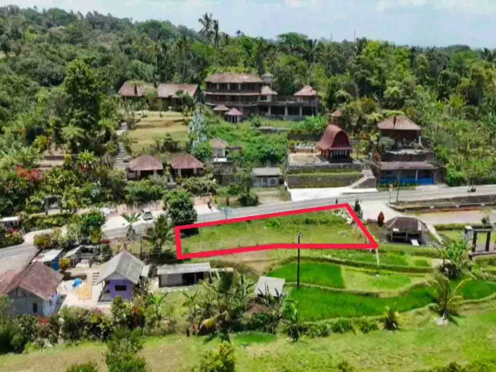 Dijual Tanah  View Sawah Terasering