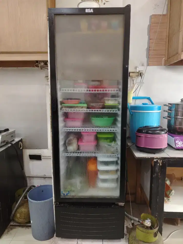 Showcase Polytron 231L