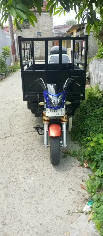 Motor roda tiga Viar 300 CC