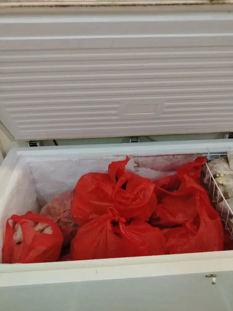 Freezer box sansio 310L