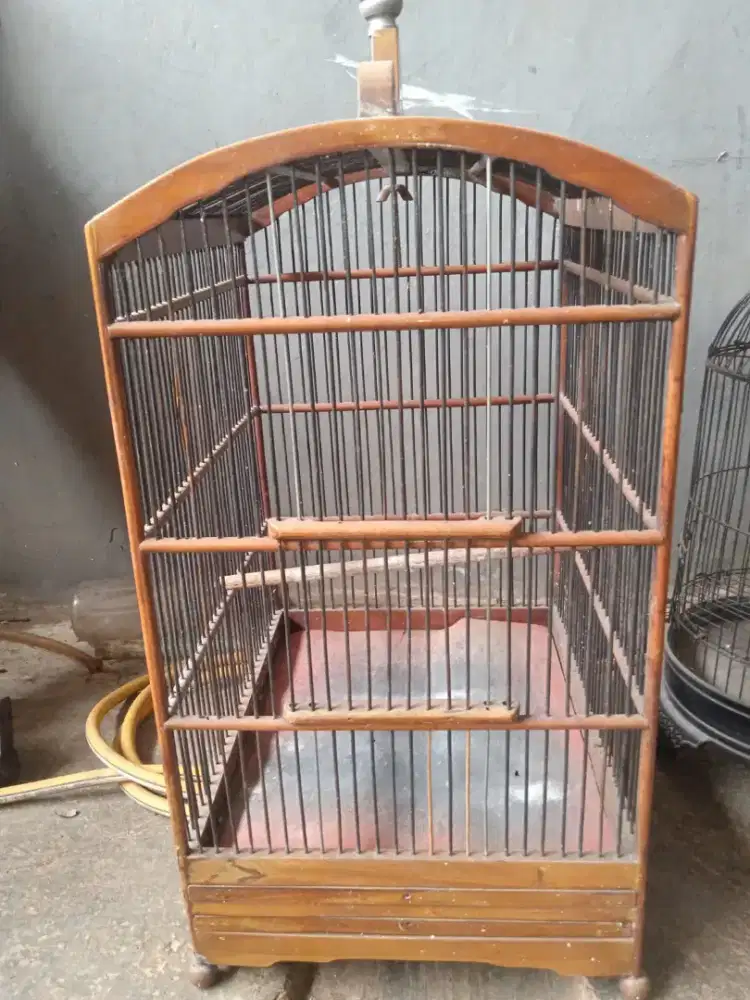 Sangkar burung kayu kotak