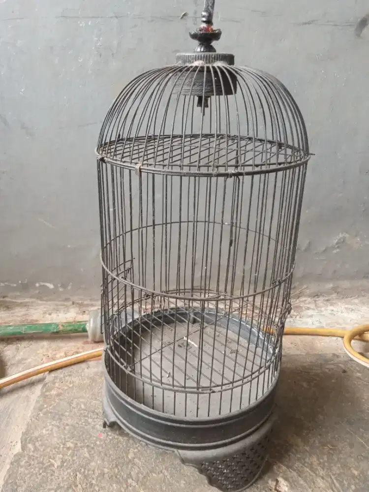 Sangkar burung Lovebird