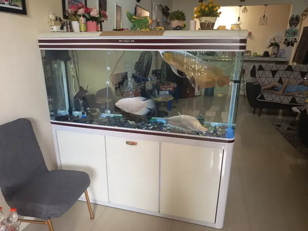 Aquarium ukuran 1.1/2 meter