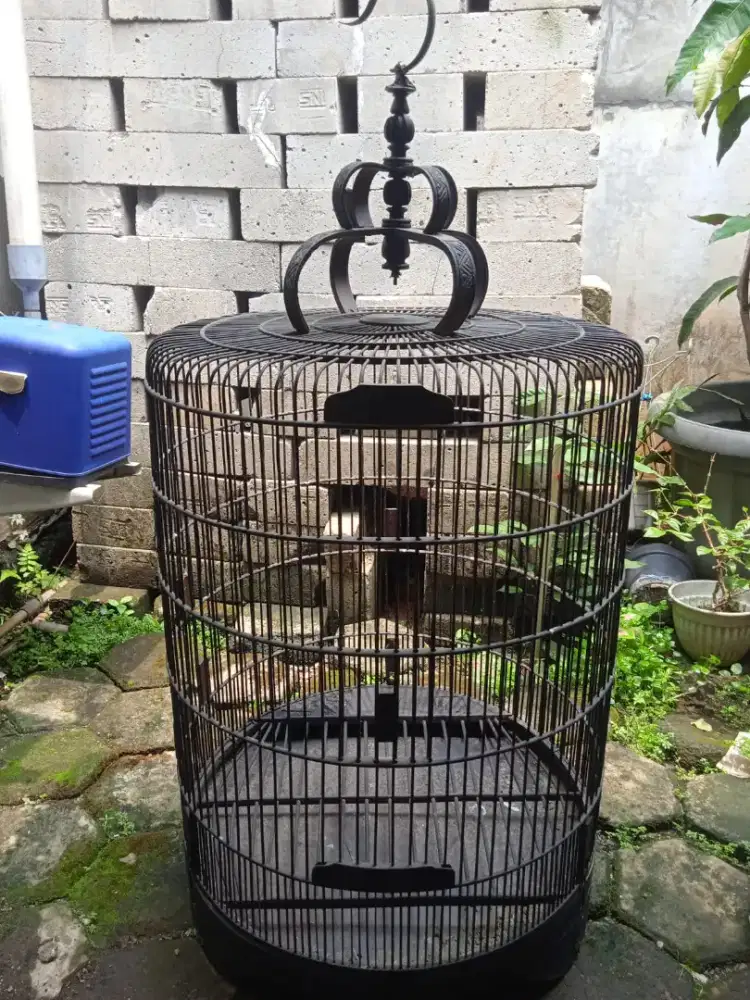 Sangkar burung jumbo
