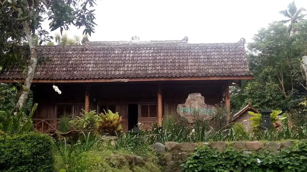 Dijual Rumah dan Tanah Luas Lokasi Nyaman dan Asri di Magelang