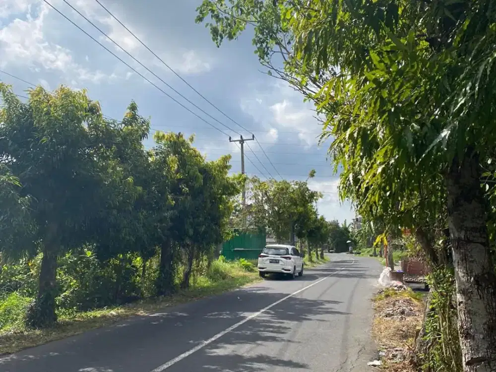 JUAL TANAH BAGUS TULIKUP GIANYAR