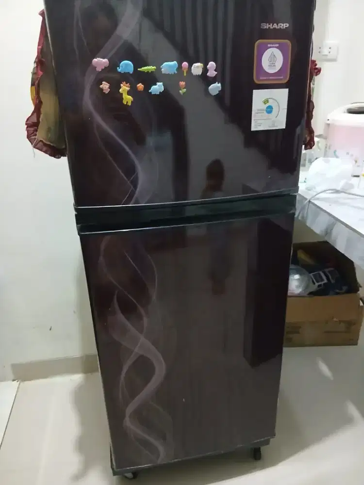Kulkas Sharp 2 Pintu