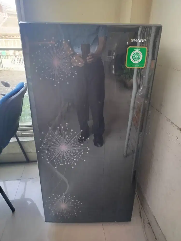 kulkas sharp 1pintu