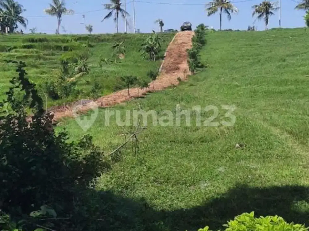 Dijual Tanah Strategis Dekat Balian Beach Selemadeg Tabanan, 8.800M², SHM, Rp 4.999 Miliar