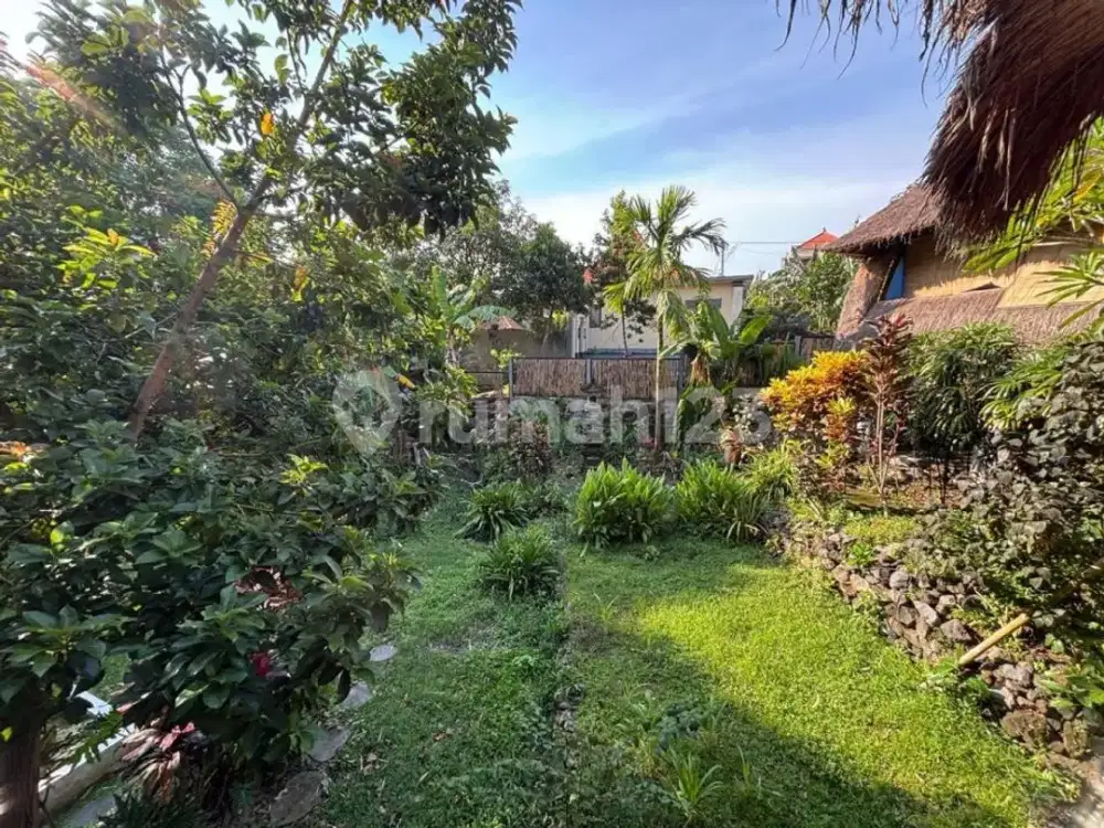 Leasehold Land For Lease In Padonan Canggu, 2,000M² Plot, Yellow Zone, Idr 4.82 Billion