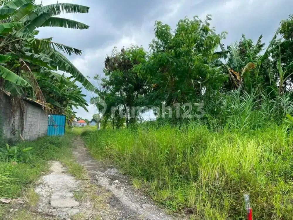 Land For Sale Near Tanah Lot Munggu Badung, 300M² Plot, SHM, Rp875 Million