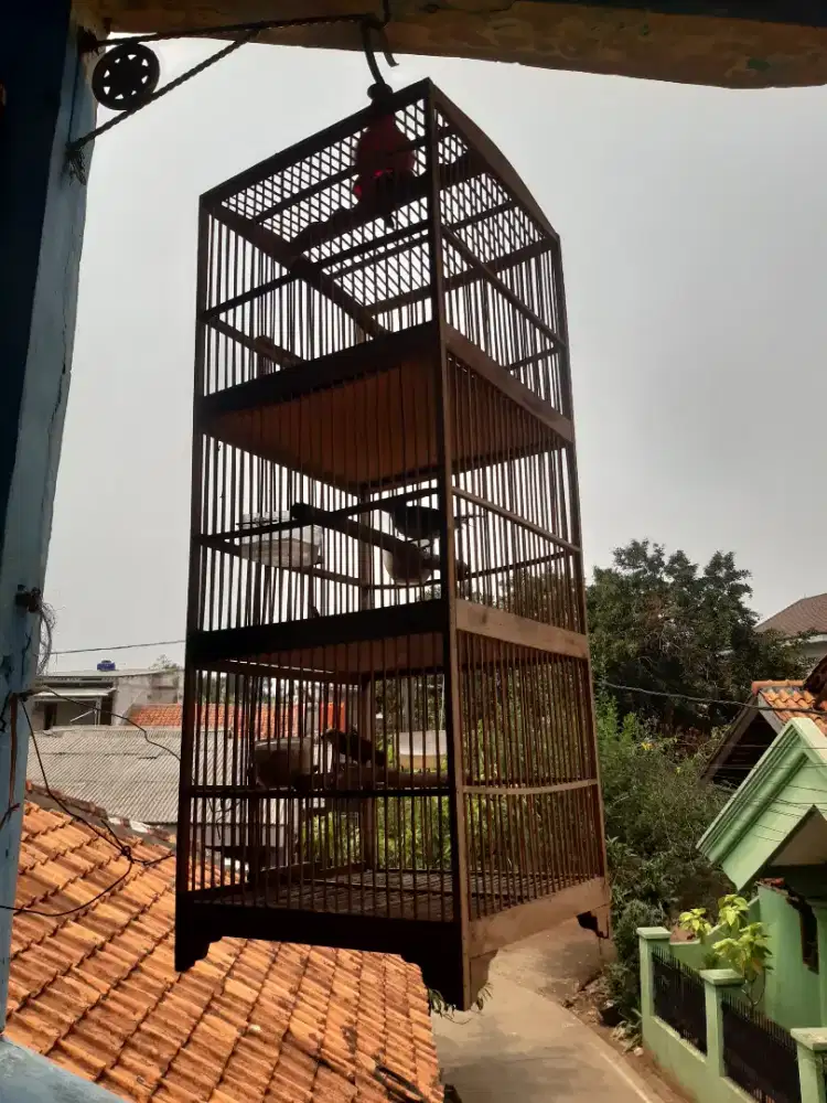 Kandang 3 susun  Dari kayu