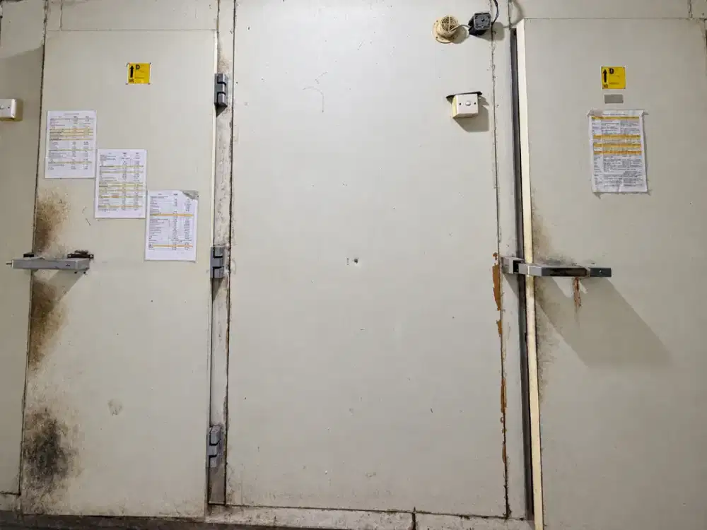 Cold Room 2 Ruang + Rak Stainless