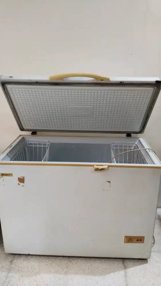 Freezer Gassio 308 liter