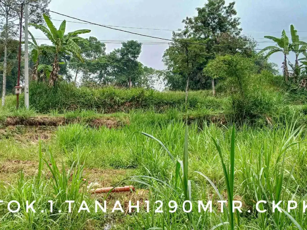 Dijual tanah luas matang pinggir jalan lokasi bagus dekat kota
