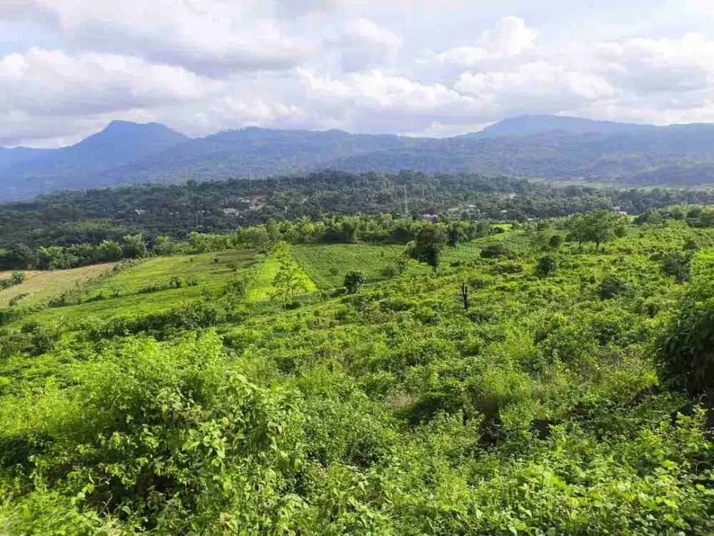 DIJUAL LAHAN BORISALLO PARANGLOE VIEW YANG MEMUKAU