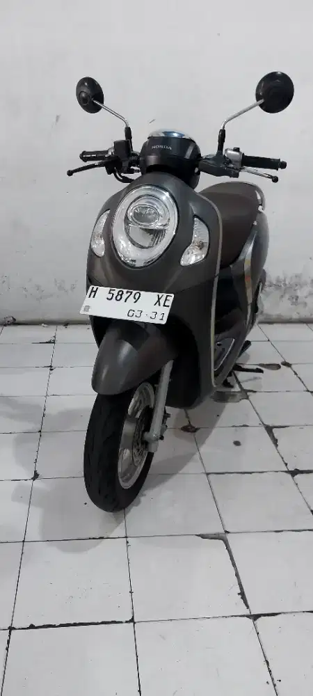 Honda scoopy stylise