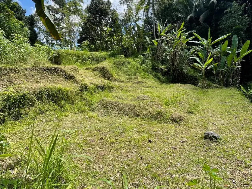 Tanah 12 Are Los Sungai di Desa Bukian, Ubud - Gianyar
