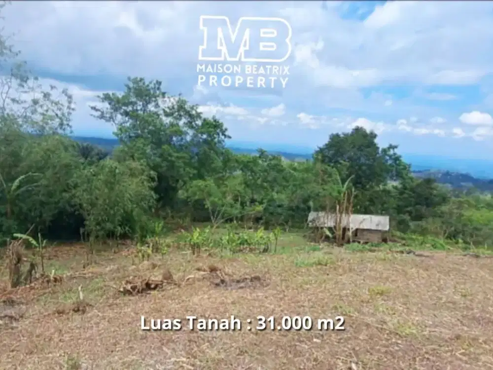 DIJUAL TANAH LUAS 3,1 Ha COCOK UNTUK RESORT / VILLA / WISATA ALAM