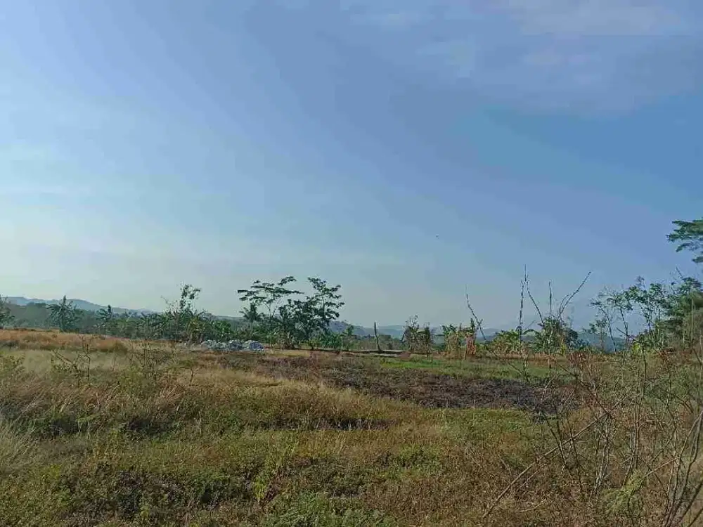 Dijual Tanah bekas sawah