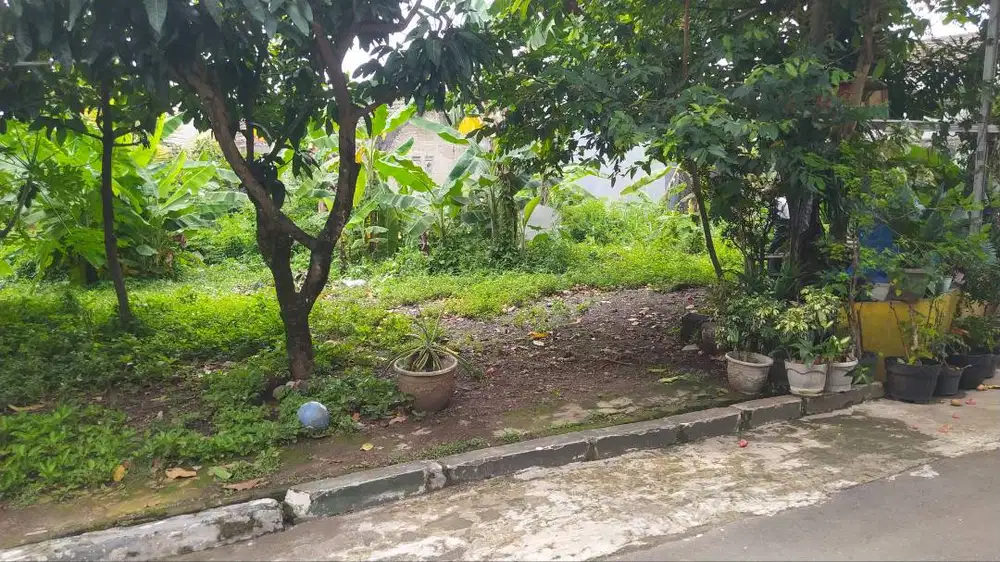 Jual cepat tanah akses mobil dekat stasiun Bogor