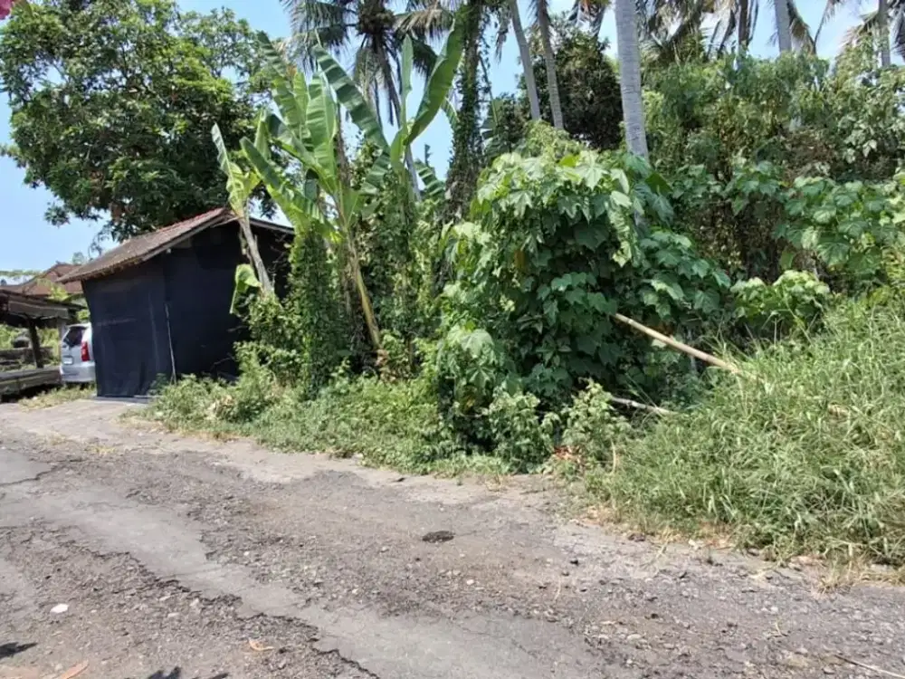 Tanah 1.020 M² River View Dijual di Pantai Kelating, Tabanan